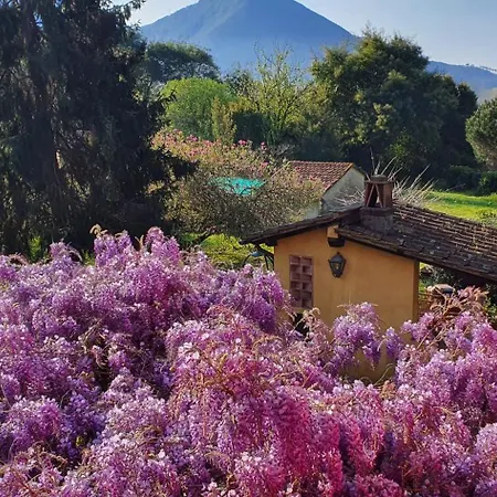 Bed & Breakfast La Quiete *