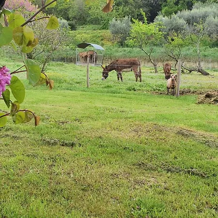 Bed & Breakfast La Quiete *