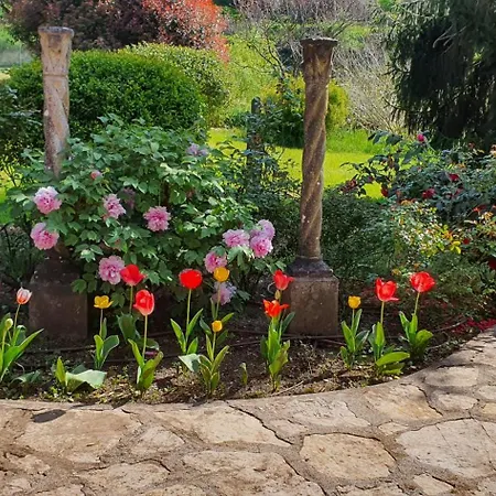 Bed & Breakfast La Quiete Lucca