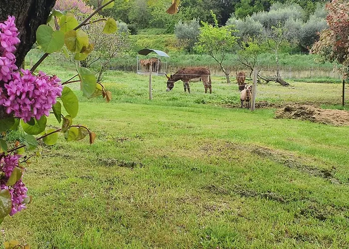 Bed & Breakfast La Quiete *