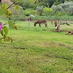Bed and breakfast La Quiete *